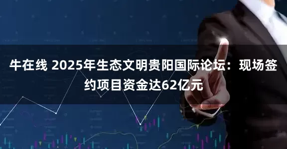牛在线 2025年生态文明贵阳国际论坛：现场签约项目资金达62亿元