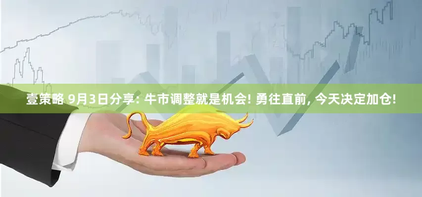 壹策略 9月3日分享: 牛市调整就是机会! 勇往直前, 今天决定加仓!