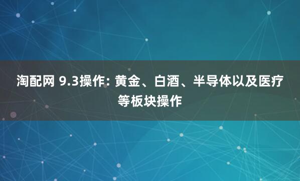 淘配网 9.3操作: 黄金、白酒、半导体以及医疗等板块操作